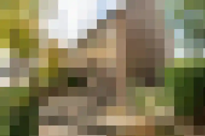 Zegge 1 Kampen thumbnail 10