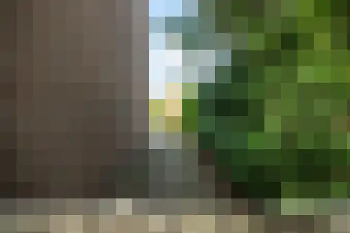 Zegge 1 Kampen thumbnail 11