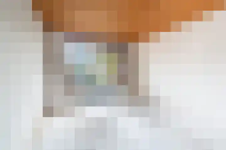 Zegge 1 Kampen thumbnail 16