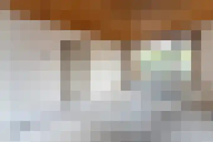 Zegge 1 Kampen thumbnail 17