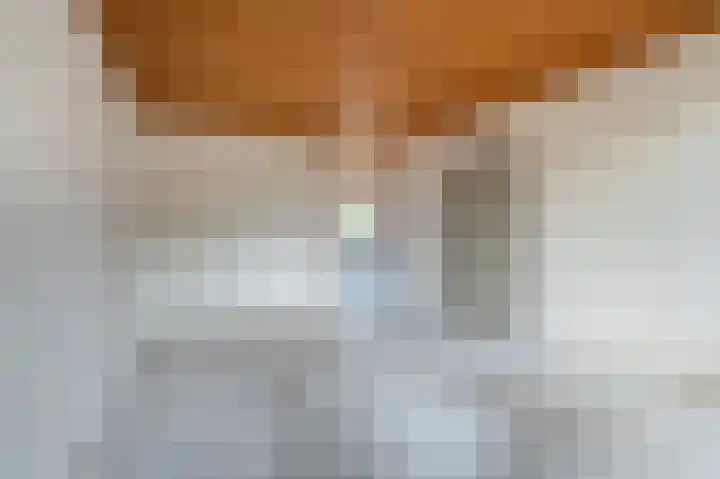 Zegge 1 Kampen thumbnail 18