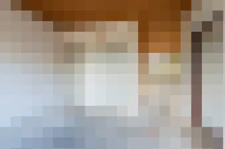 Zegge 1 Kampen thumbnail 22