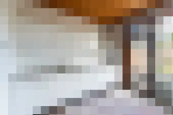 Zegge 1 Kampen thumbnail 25