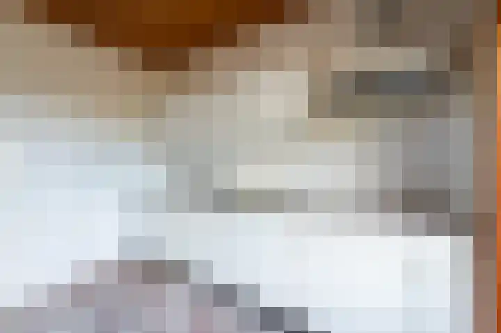 Zegge 1 Kampen thumbnail 26