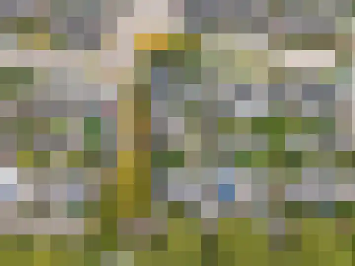 Zegge 1 Kampen thumbnail 29