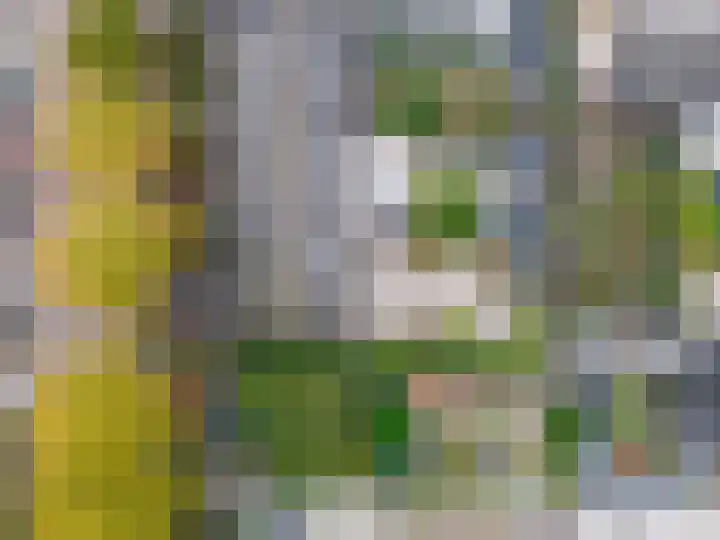 Zegge 1 Kampen thumbnail 30