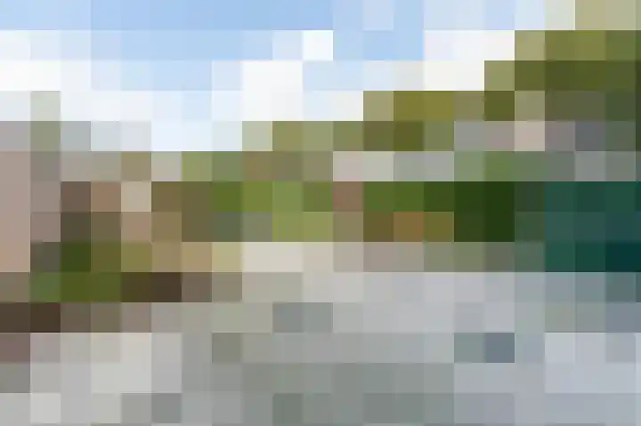 Zegge 1 Kampen thumbnail 31