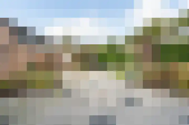 Zegge 1 Kampen thumbnail 32