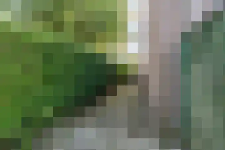 Zegge 1 Kampen thumbnail 33