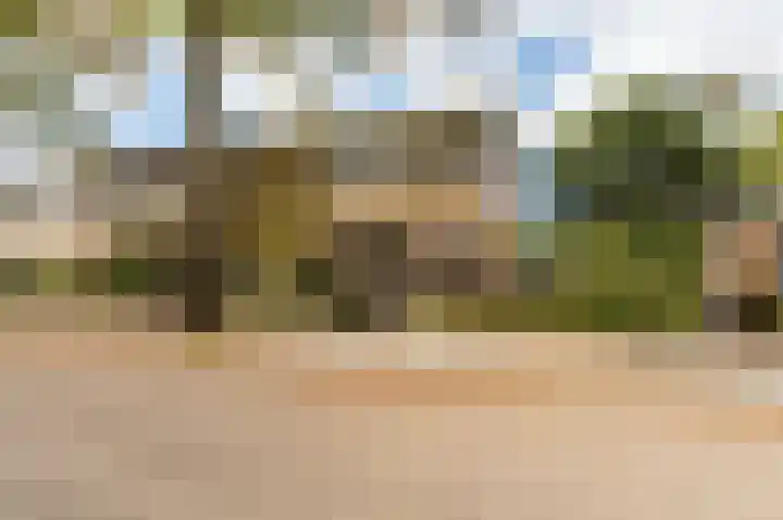 Zegge 1 Kampen thumbnail 4