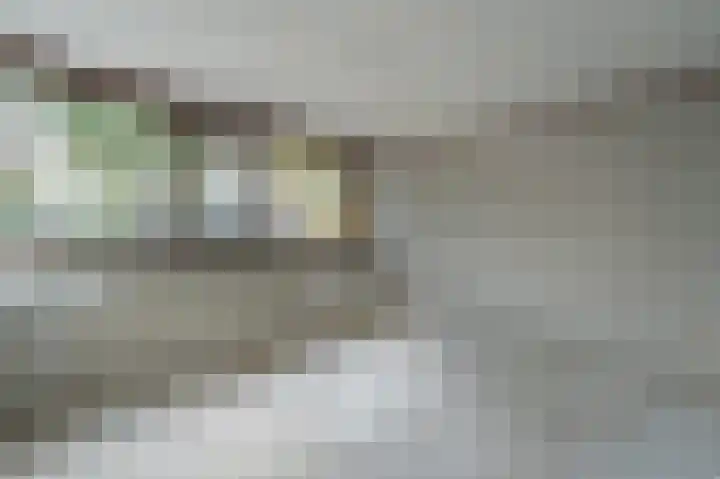 Zegge 1 Kampen thumbnail 44