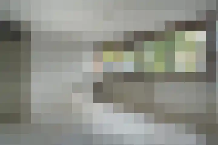 Zegge 1 Kampen thumbnail 45