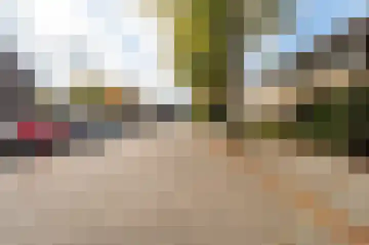 Zegge 1 Kampen thumbnail 7