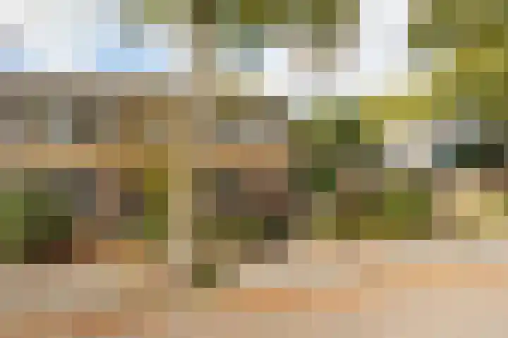 Zegge 1 Kampen thumbnail 8