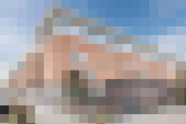Zegge 10 Voorburg
