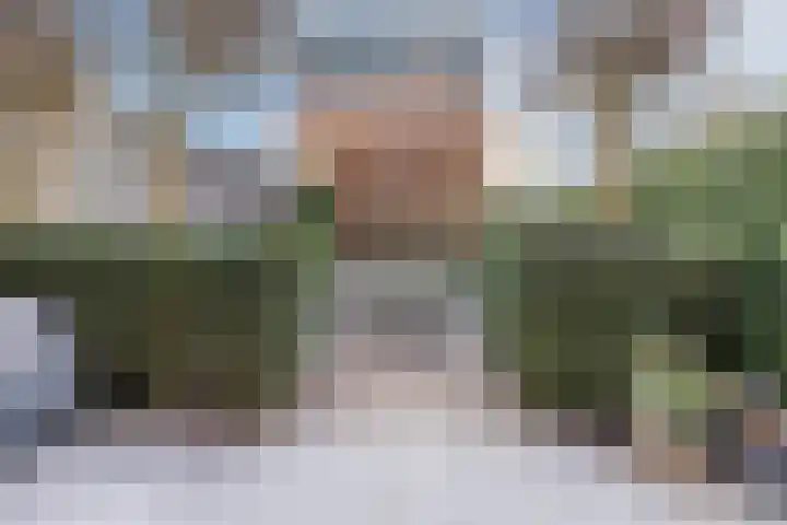 Zegge 10 Voorburg thumbnail 10