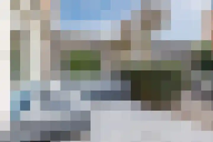 Zegge 10 Voorburg thumbnail 11
