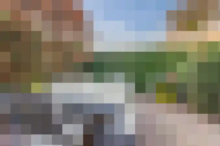 Zegge 10 Voorburg thumbnail 12