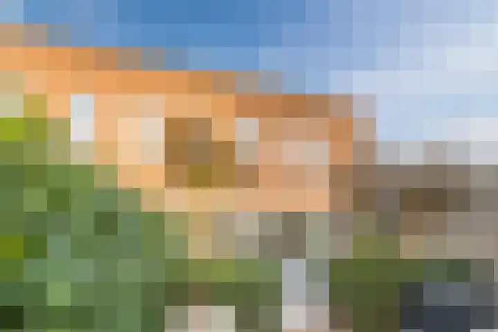 Zegge 10 Voorburg thumbnail 13