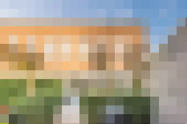 Zegge 10 Voorburg thumbnail 14