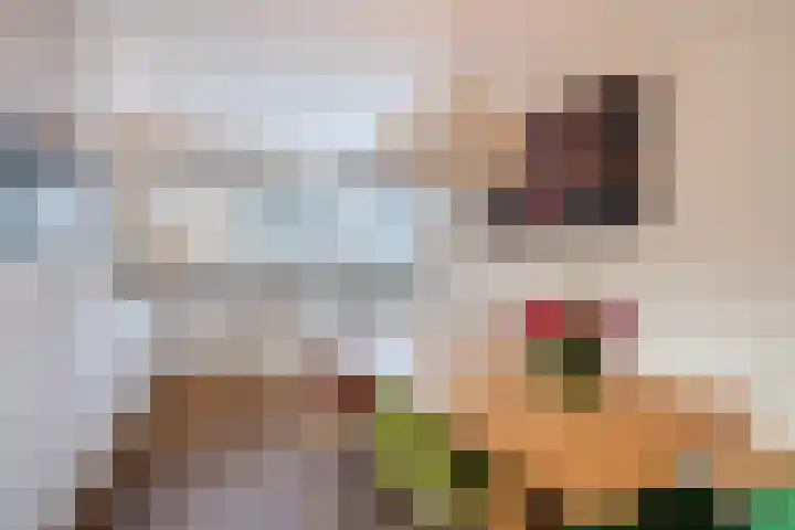 Zegge 10 Voorburg thumbnail 16