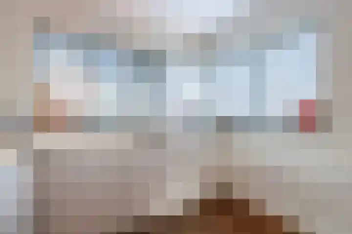 Zegge 10 Voorburg thumbnail 17