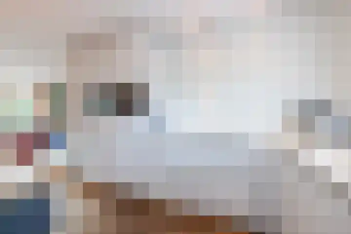 Zegge 10 Voorburg thumbnail 18