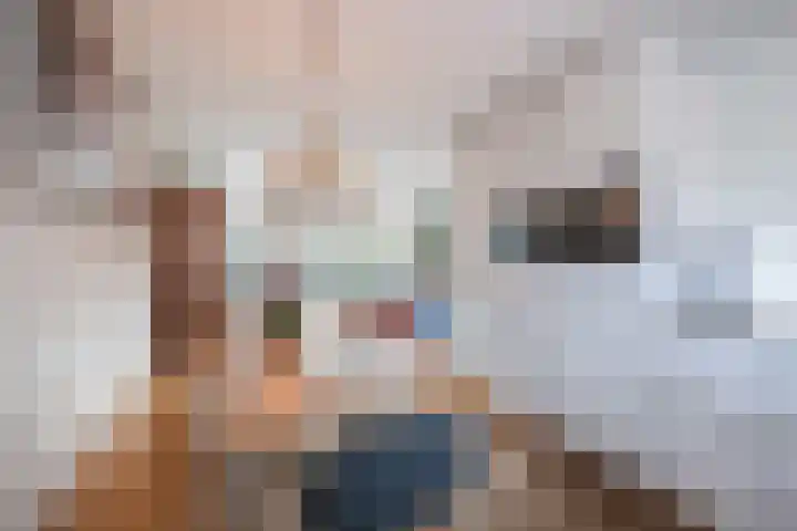 Zegge 10 Voorburg thumbnail 19