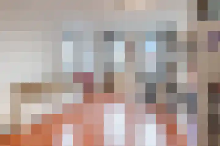Zegge 10 Voorburg thumbnail 23
