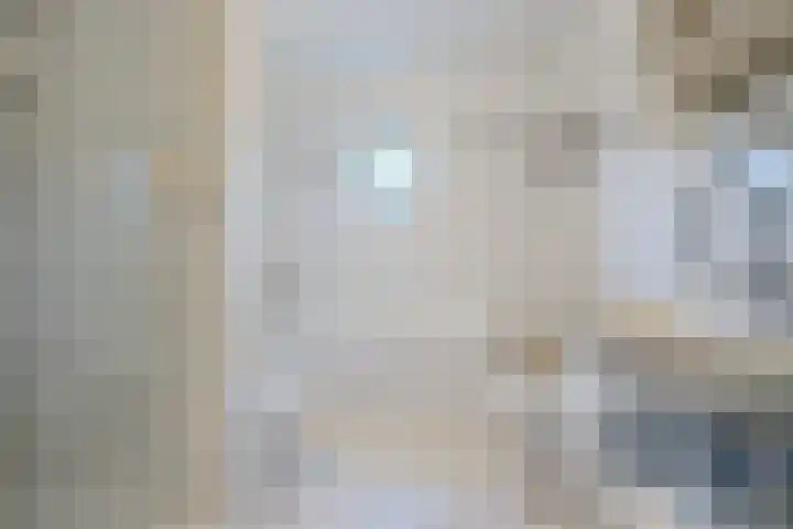 Zegge 10 Voorburg thumbnail 25
