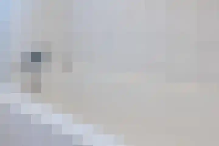Zegge 10 Voorburg thumbnail 26