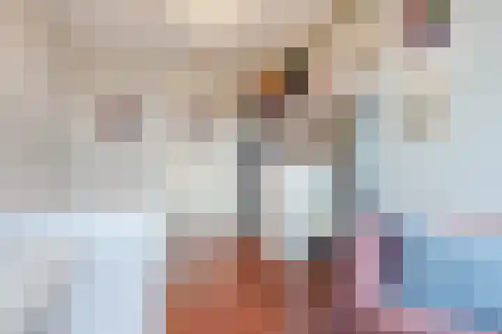 Zegge 10 Voorburg thumbnail 30