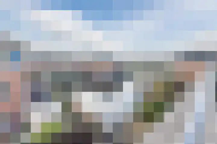 Zegge 10 Voorburg thumbnail 38