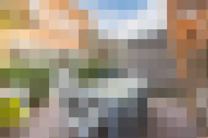 Zegge 10 Voorburg thumbnail 4