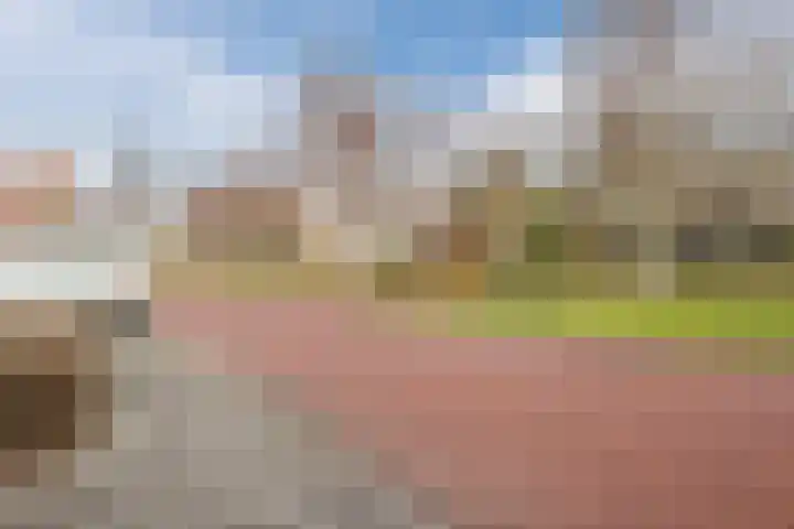 Zegge 10 Voorburg thumbnail 42