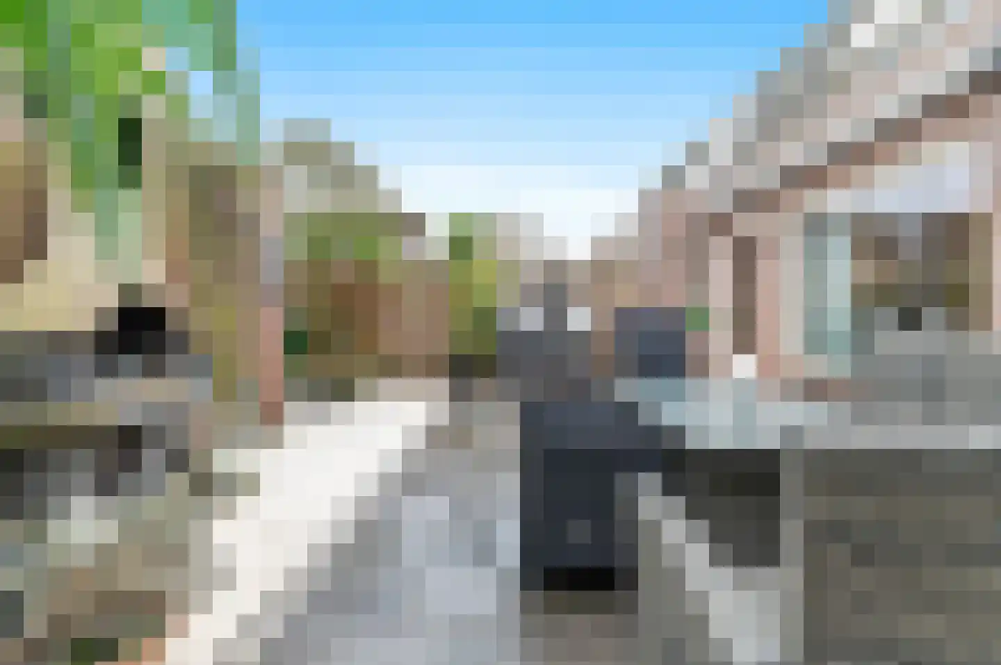 Zegge 14 Nootdorp thumbnail 25
