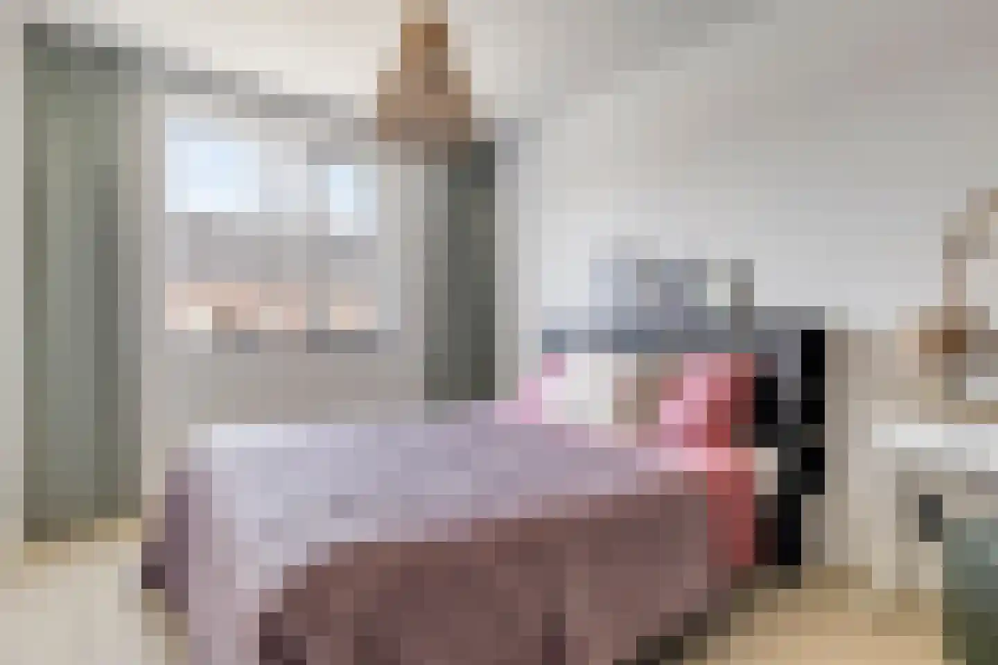 Zegge 2 Roelofarendsveen thumbnail 11