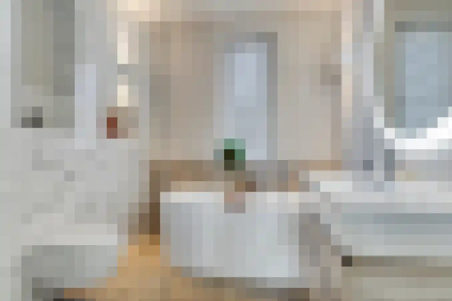 Zegge 2 Roelofarendsveen thumbnail 12