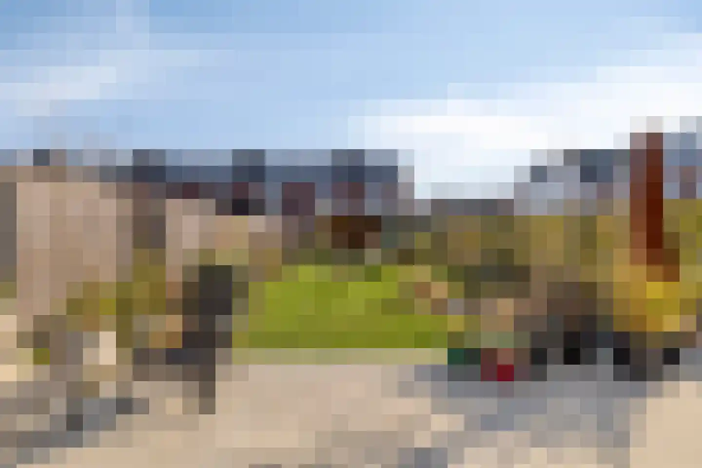 Zegge 2 Roelofarendsveen thumbnail 17