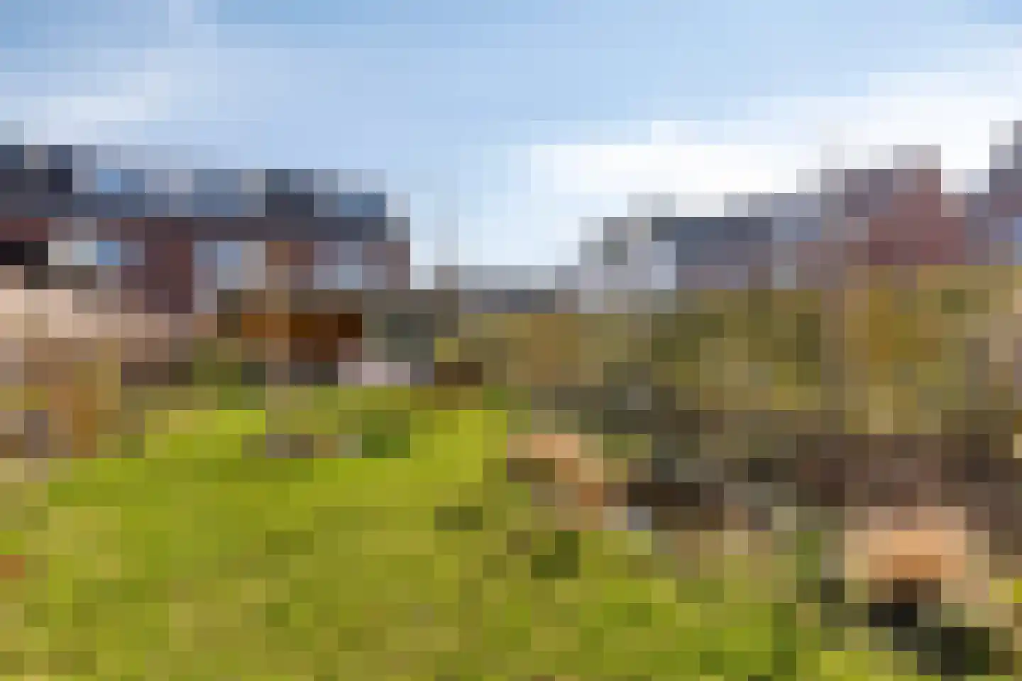 Zegge 2 Roelofarendsveen thumbnail 18