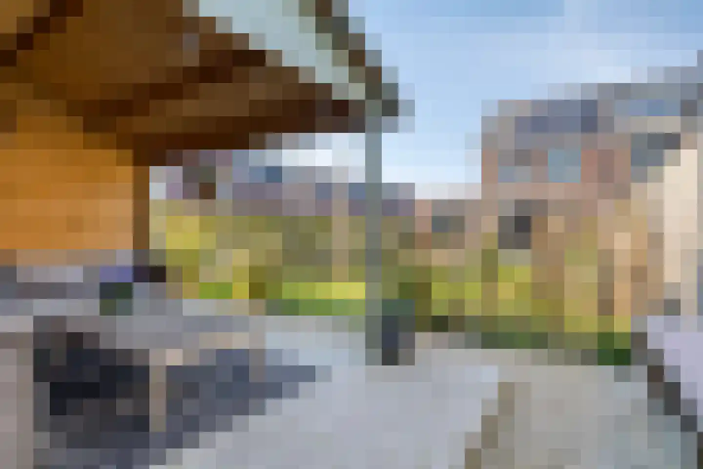 Zegge 2 Roelofarendsveen thumbnail 20