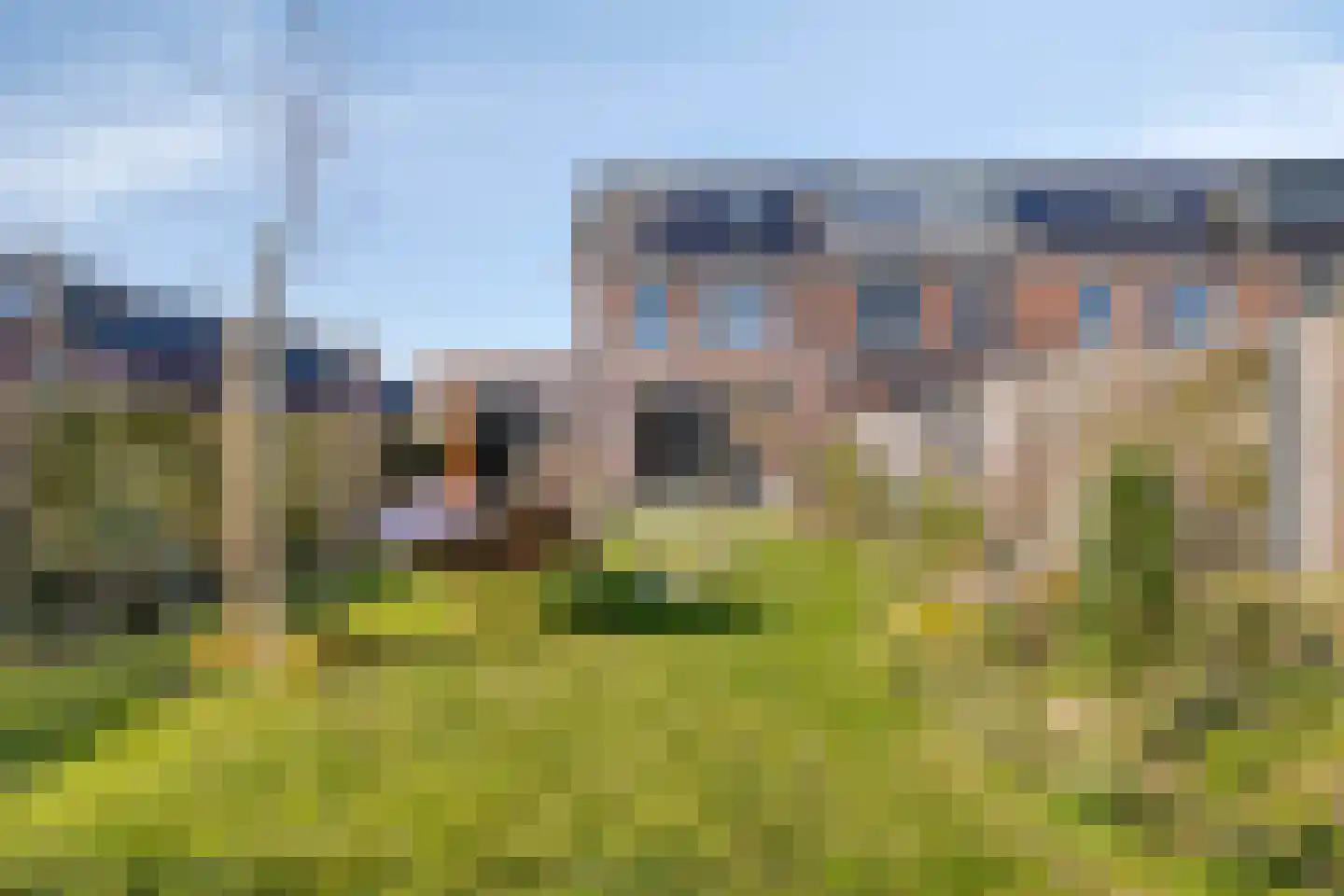Zegge 2 Roelofarendsveen thumbnail 21