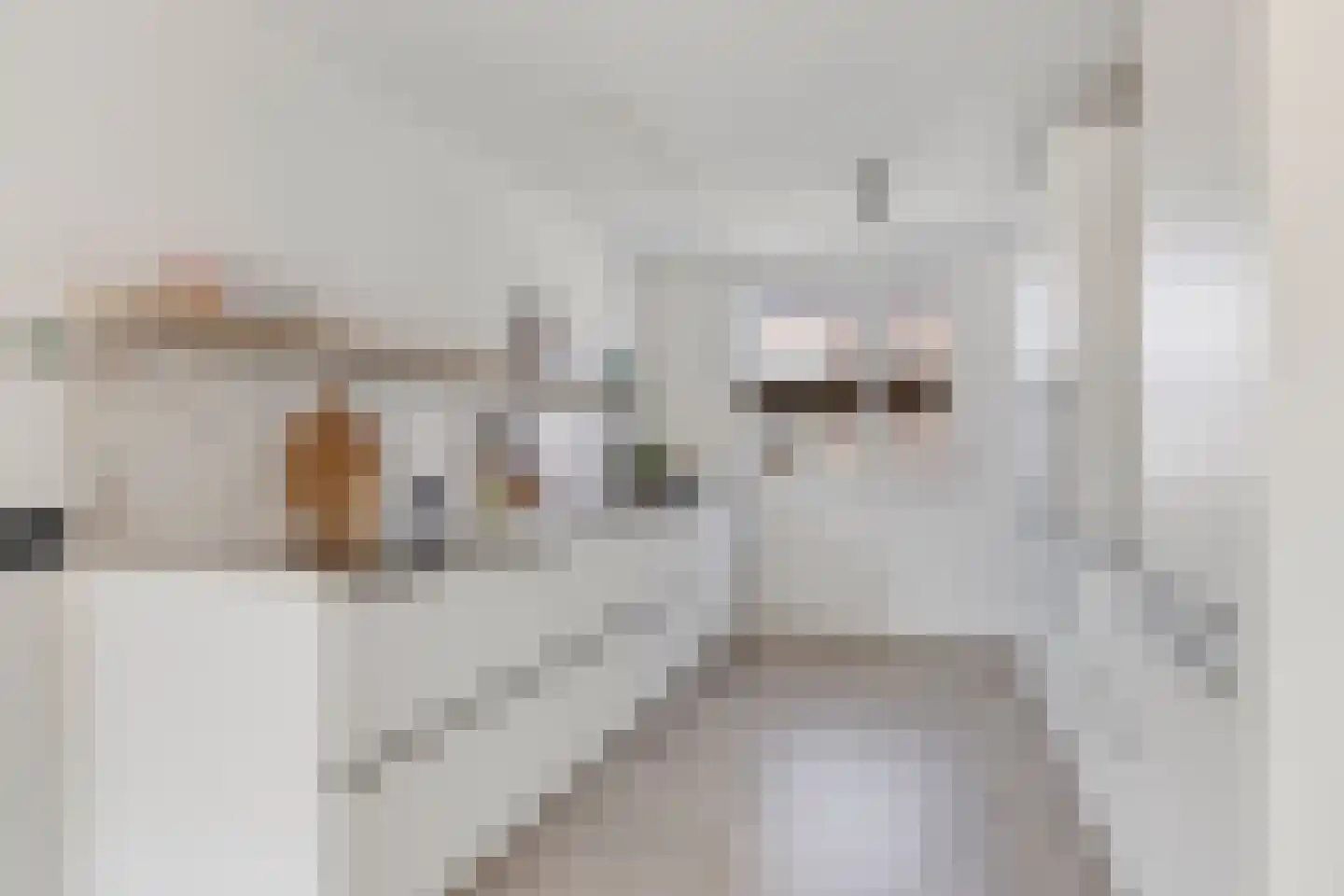 Zegge 2 Roelofarendsveen thumbnail 8