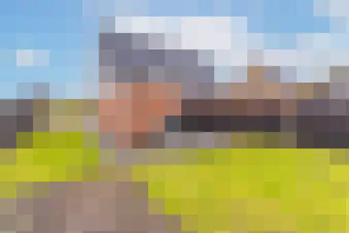 Zegge 24 Nieuw-Weerdinge thumbnail 29