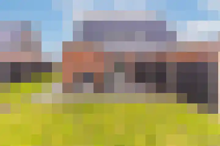 Zegge 24 Nieuw-Weerdinge thumbnail 30