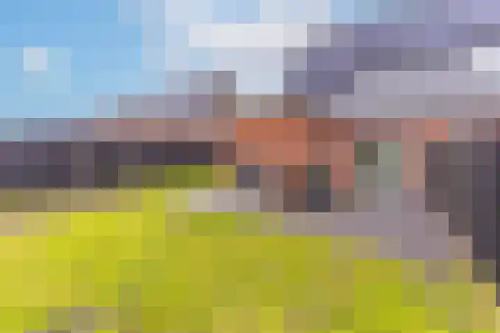 Zegge 24 Nieuw-Weerdinge thumbnail 31