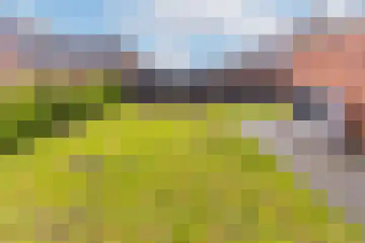Zegge 24 Nieuw-Weerdinge thumbnail 33