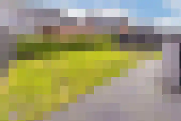 Zegge 24 Nieuw-Weerdinge thumbnail 34