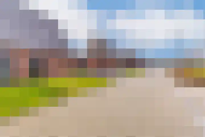 Zegge 24 Nieuw-Weerdinge thumbnail 4