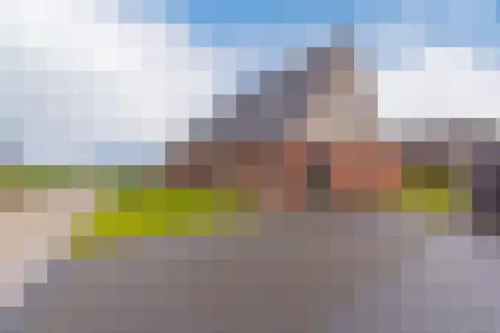 Zegge 24 Nieuw-Weerdinge thumbnail 5